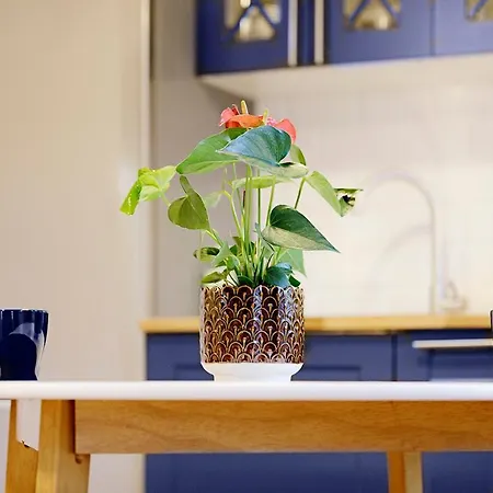 Na Niebieskim Widoku Appartement